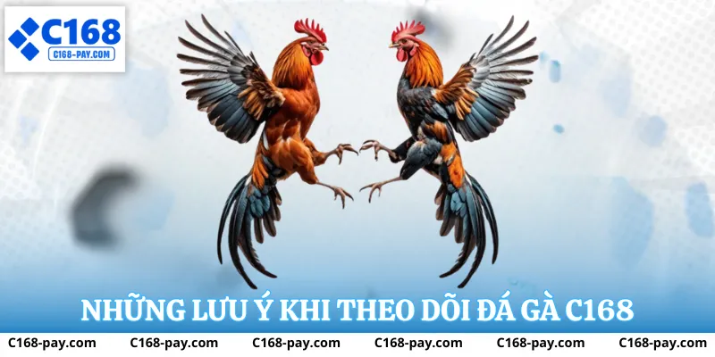 Mẹo phân tích và cá cược đá gà C168